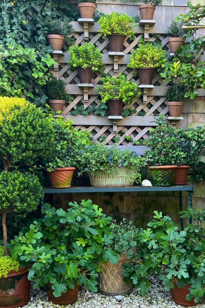 Unique Rustic Garden Decor Ideas that Will Transform Your Yard ...