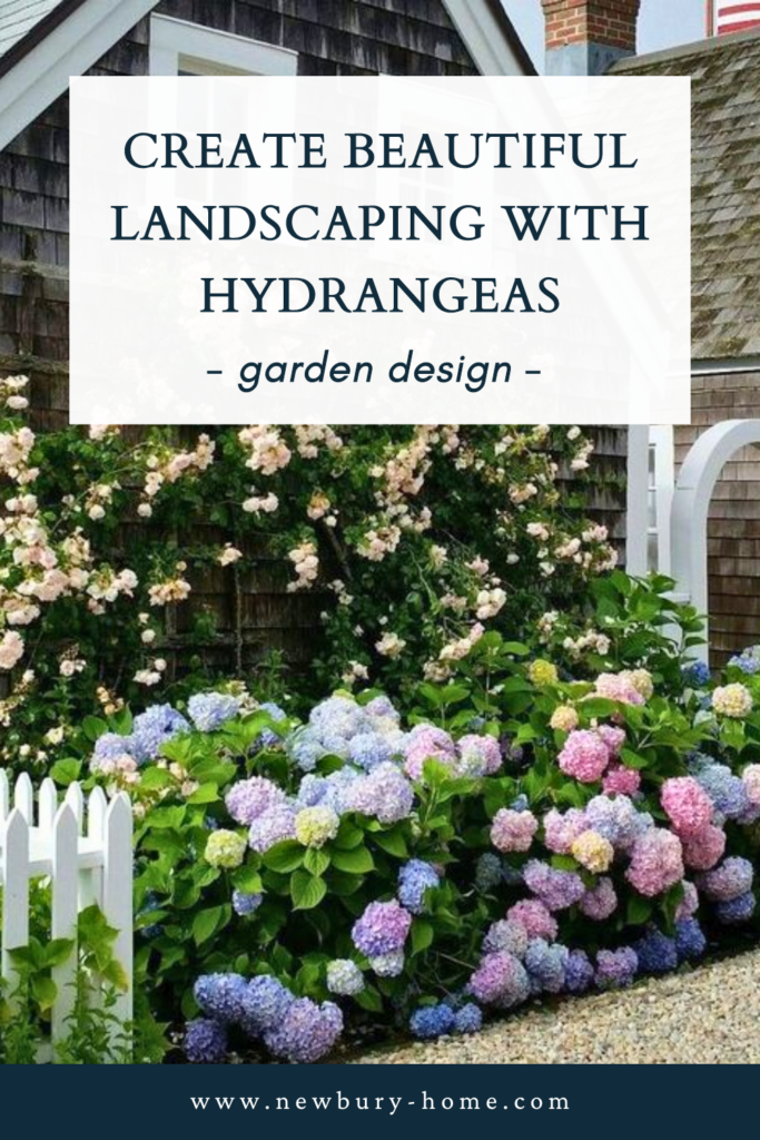 How to Create Beautiful Landscaping with Hydrangeas - Newbury Home