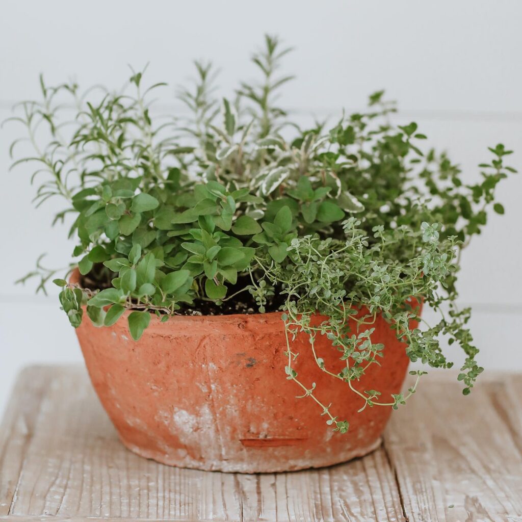 Container Herb Garden Ideas: Easy & Beautiful Ways to Grow Your Own ...