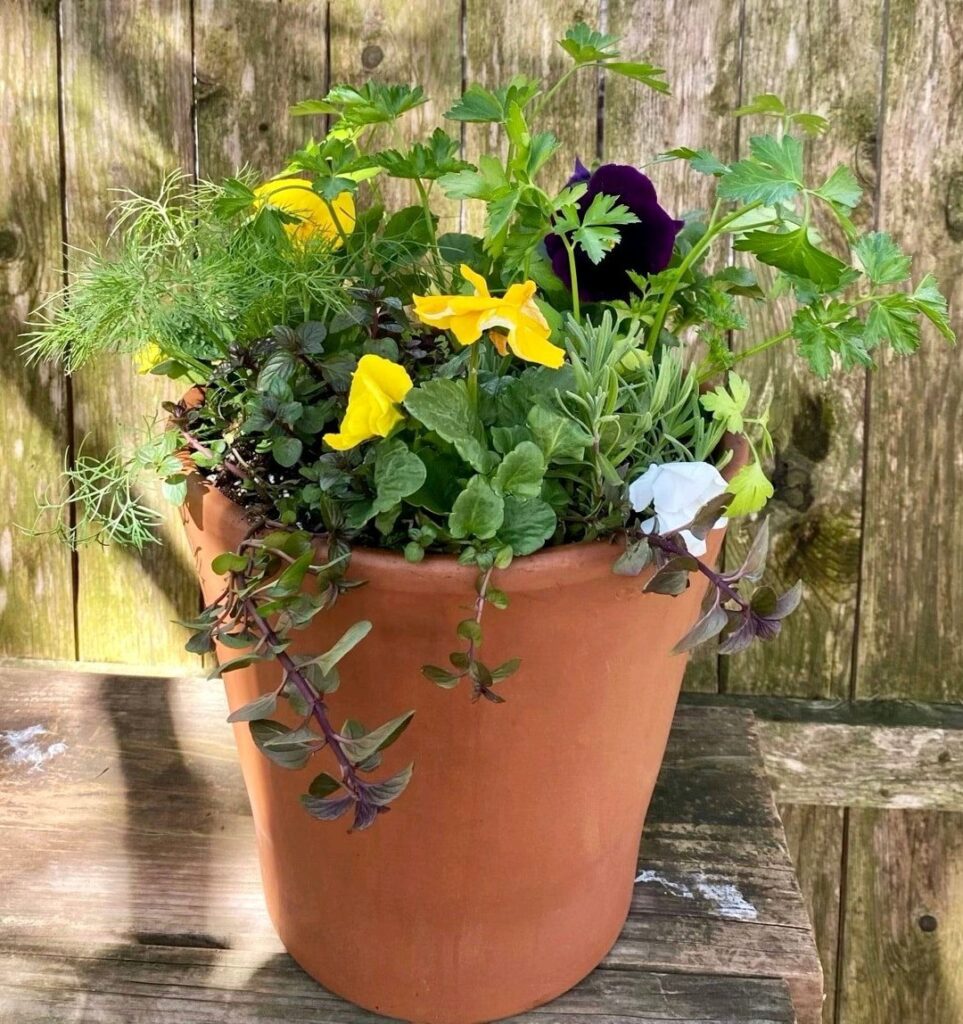 Container Herb Garden Ideas: Easy & Beautiful Ways to Grow Your Own ...
